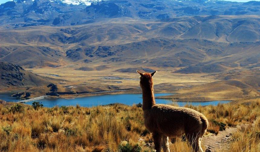 Huaraz, Serce Gór - Wycieczka półprywatna — 1