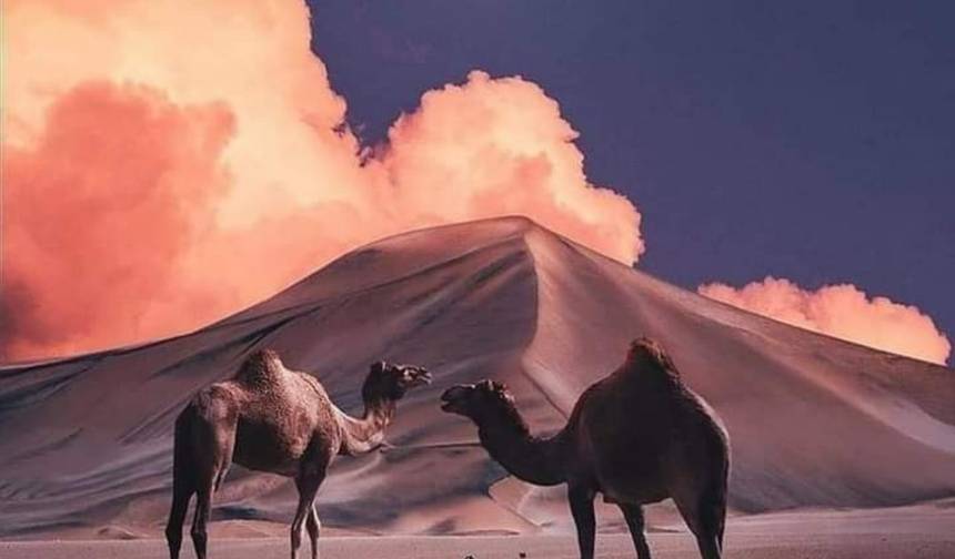 أبرز معالم المغرب من طنجة إلى الدار البيضاء (10 أيام) — 1
