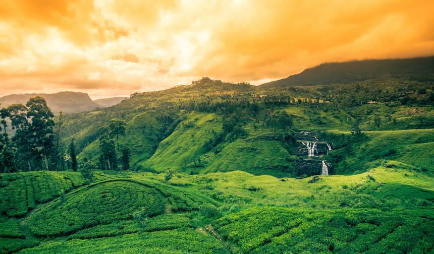 Destaques do Sri Lanka — 1