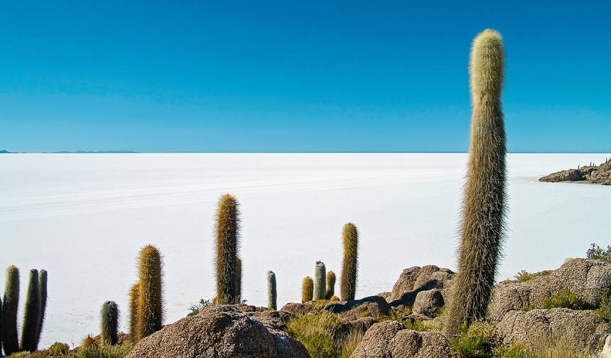 Peru, Bolivia & Chile In-Depth — 1