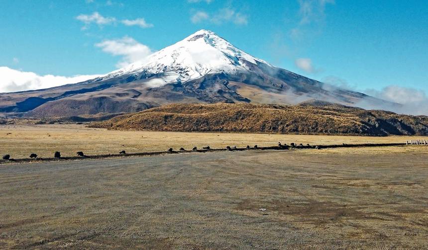 Ekwador i najważniejsze atrakcje Galapagos — 1