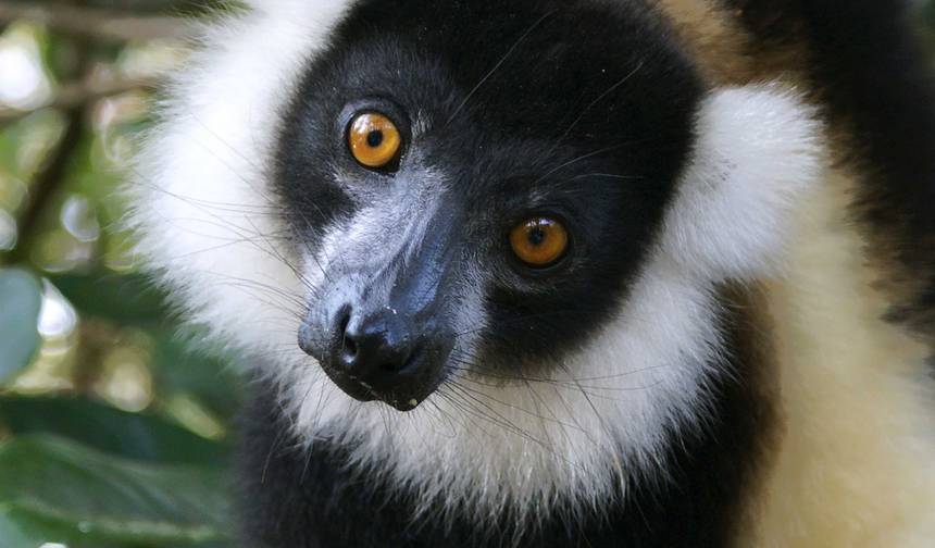 Najważniejsze atrakcje Madagaskaru — 1