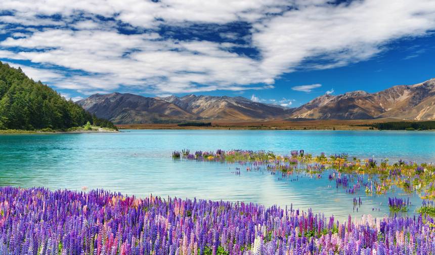 New Zealand Highlights — 1