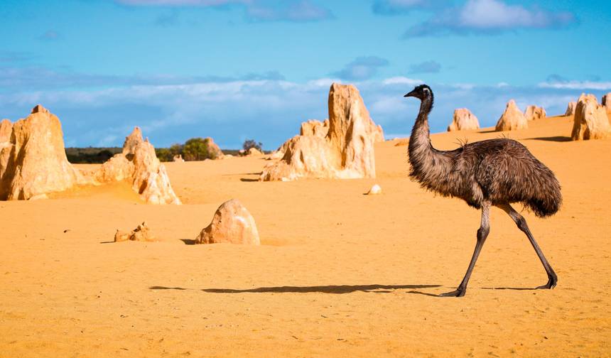 Australia w Głębi — 1