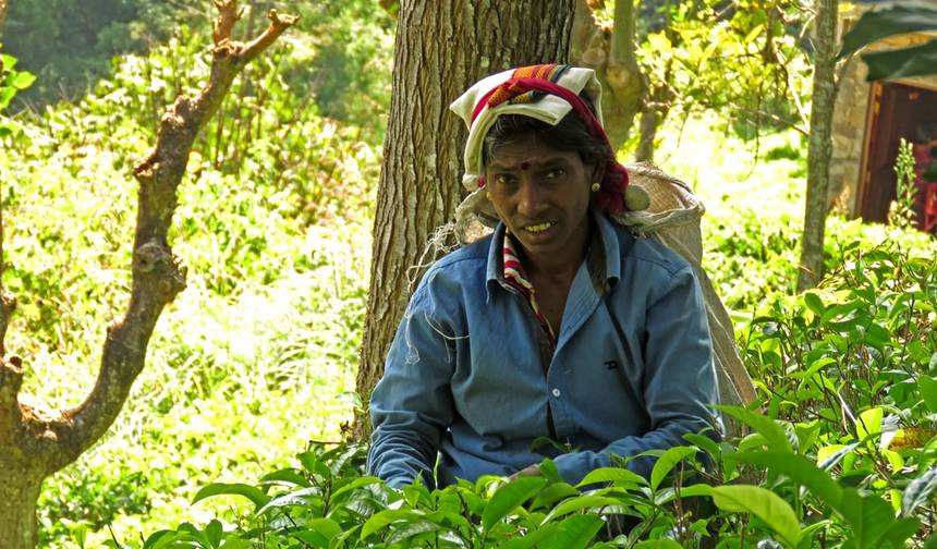 SRI LANKA: Aktiv unterwegs im Tropenparadies — 1