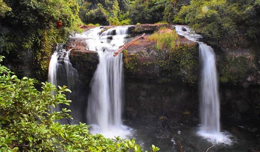 باقة هروب لمدة 6 أيام في Cairns — 1
