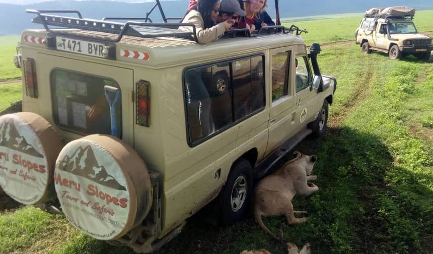 8-dniowa wycieczka: Park Narodowy Arusha, Jezioro Manyara, Serengeti, Tarangire i krater Ngorongoro — 1