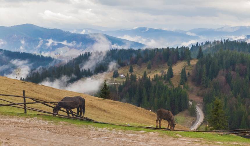 Transilvânia e Bucovina de bicicleta — 1