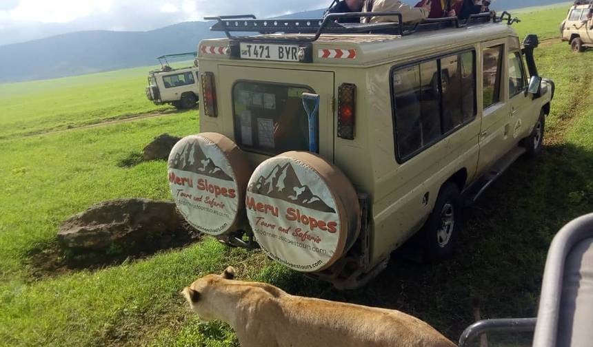 5-Days Mid-range Tour to Tarangire, Serengeti & Ngorongoro — 1