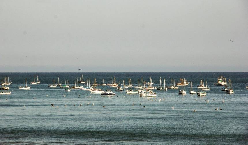 Paraíso do Norte, Pequena Pausa — 1