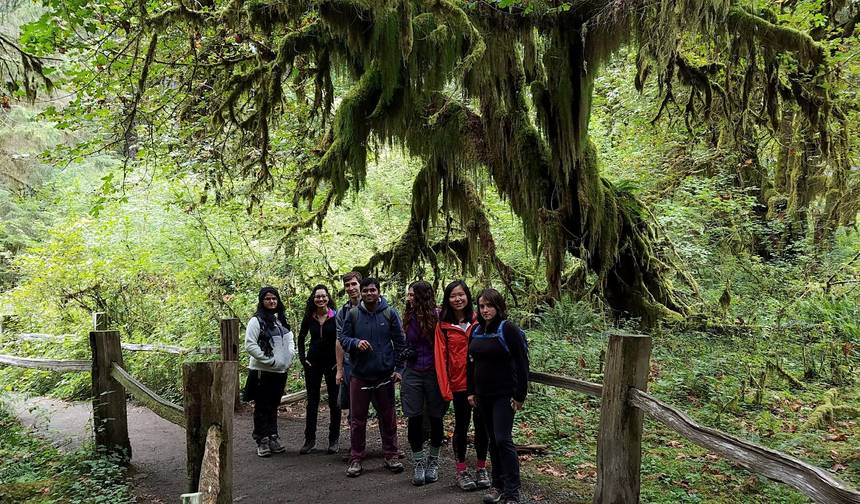 USA – Best of WA – North Cascades Olympic Mount Rainier National Parks — 1