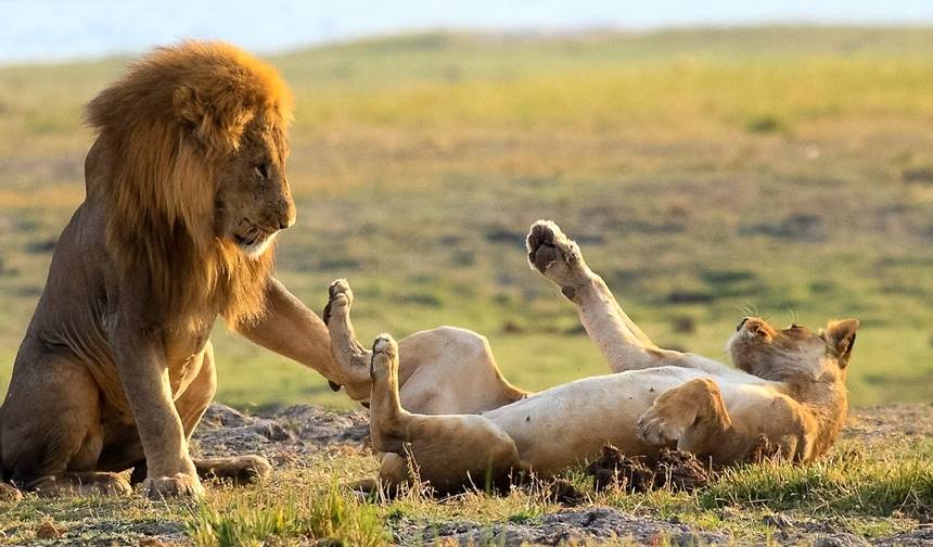 Moremi - 14-Day Adventure Tour — 1