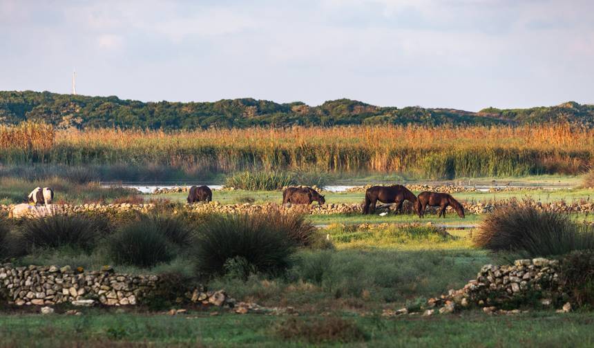 Najlepsze z Cami de Cavalls 8 dni — 1