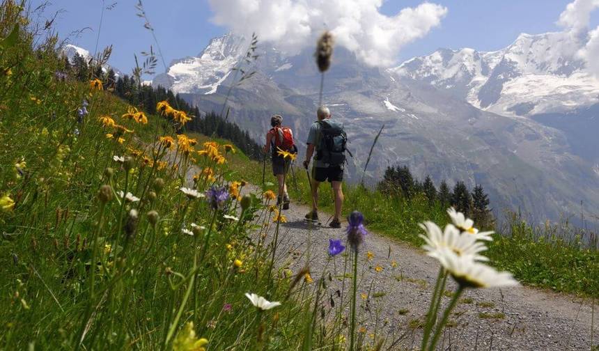 Via Alpina - Bear Trek (8 days) — 1