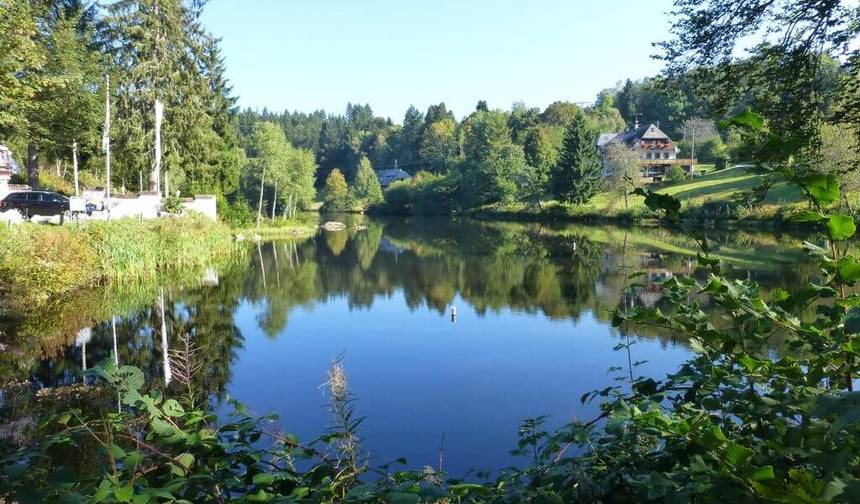 Schluchtensteig - Różnorodność Schwarzwaldu - 8 dni — 1