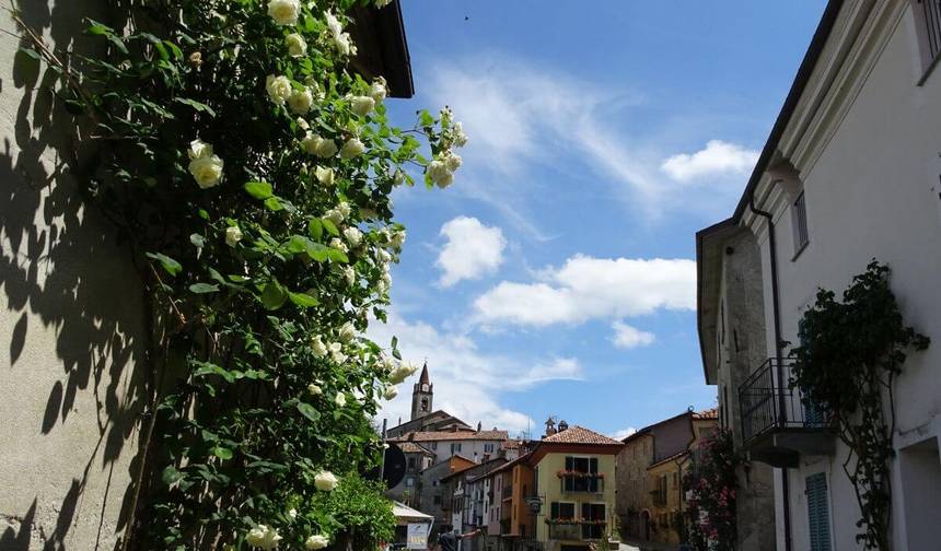 Hike Piedmont in 8 Days (Easy) — 1