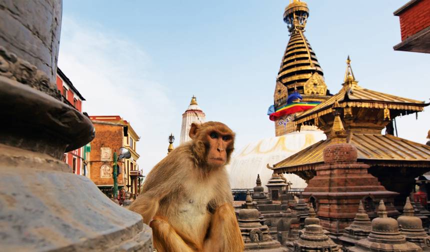 Amazing India with Nepal Tour — 1