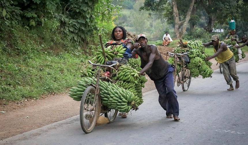 Uganda Completa: Safáris, Observação de Vida Selvagem e Caminhadas com Gorilas — 1