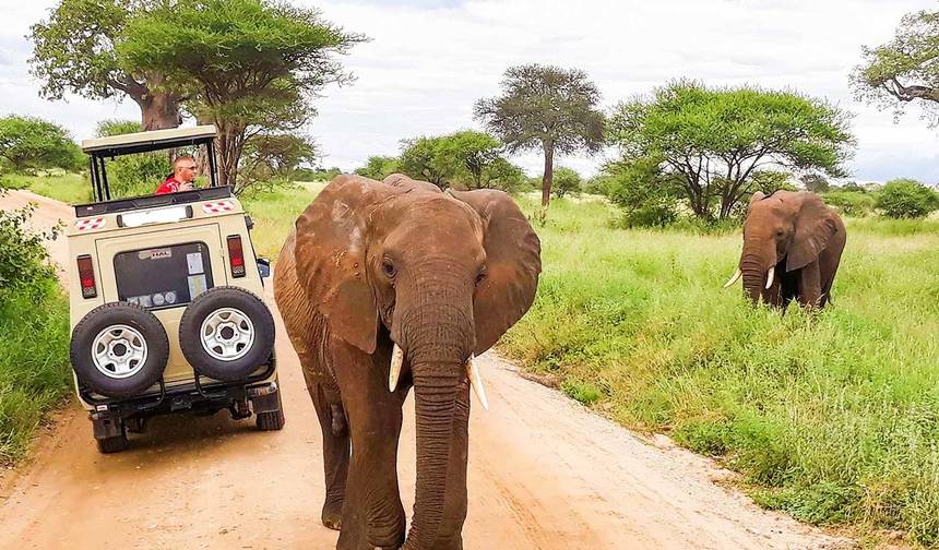 Safari de Jipe de Luxo de 5 Dias em Amboseli e Tsavo West — 1