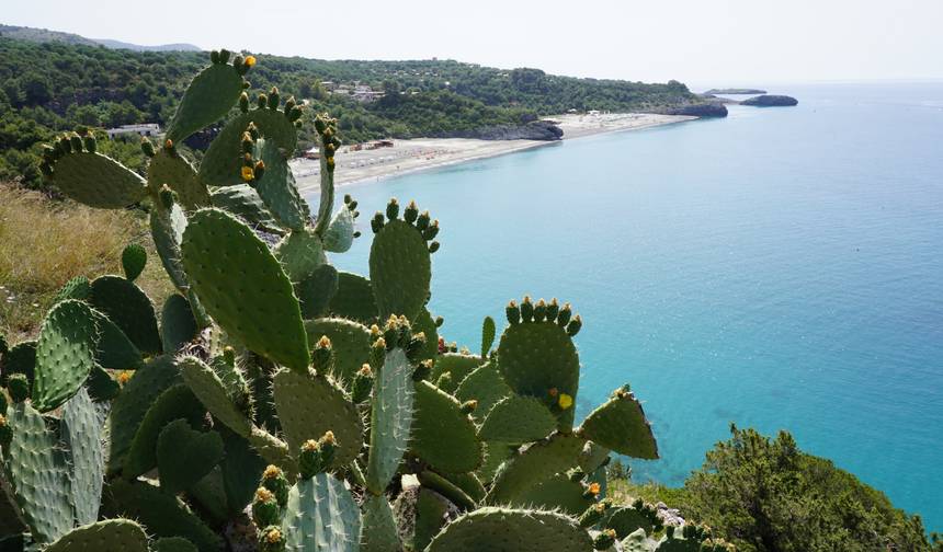 Wycieczka po Cilento - 7 dni — 1