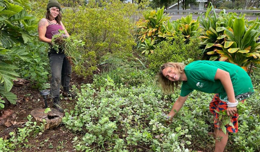 Hawai'i Big Island: Environmental Conservation, Cultural Preservation, and Snorkeling — 1