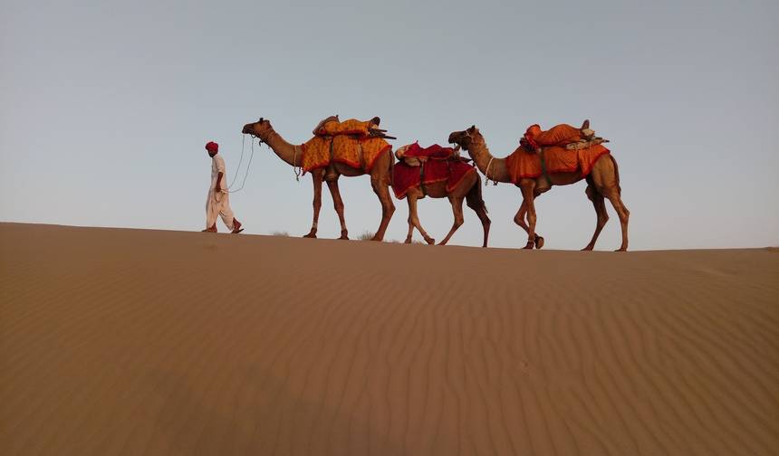 Rajasthan Historical Tour — 1