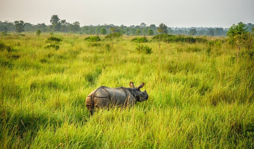 Majestatyczne Nepal — 1
