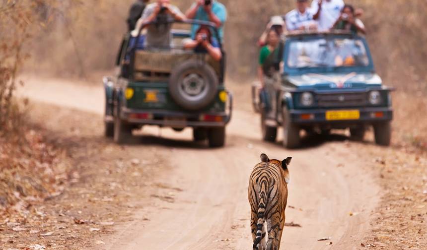 インドの遺産と野生動物 — 1
