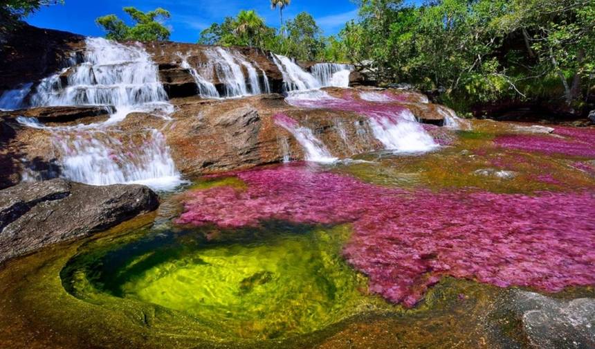 Caño Cristales z Bogoty: 3-dniowa wycieczka Szlak Tęczowej Rzeki — 1
