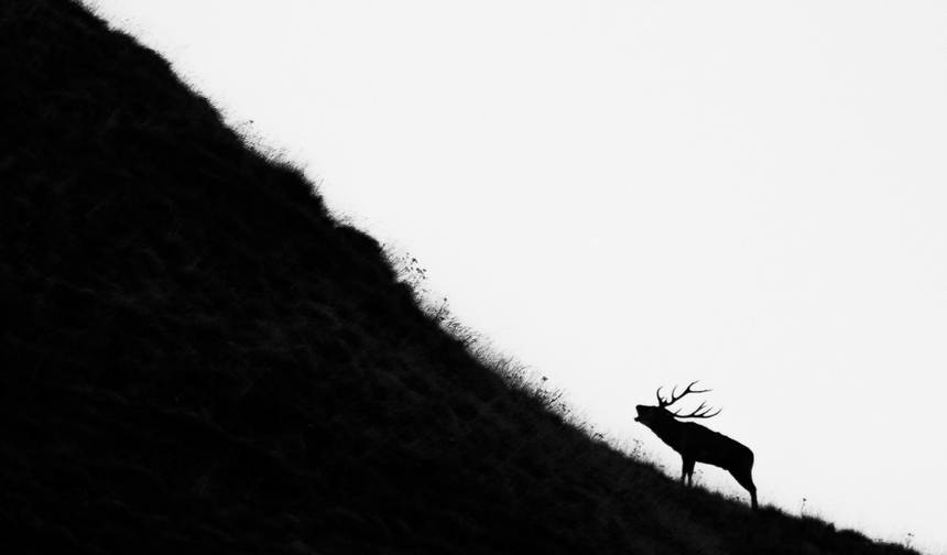 イタリアのアペニン山脈：ウォーキングと野生動物 — 1