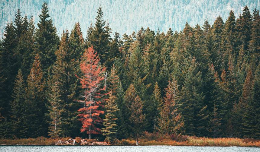Descubra as Montanhas Rochosas Canadenses — 1