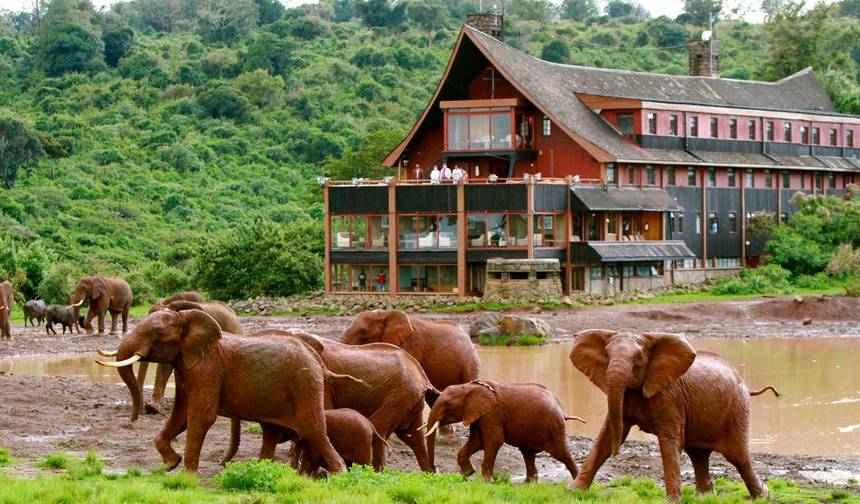 3-dniowe prywatne safari do Aberdares i Sanktuarium Szympansów Sweetwaters Ol Pejeta — 1