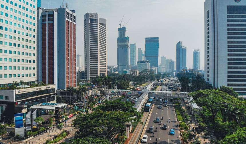 インドネシア徹底探訪 - カリマンタン、ジャワ、スラウェシ、バリ — 1