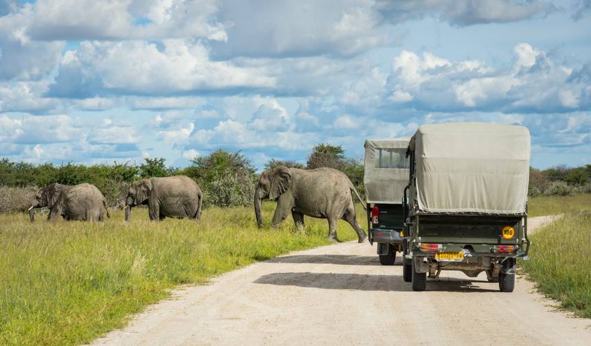 3 Dias de Exploração do Parque Nacional Etosha | Lodge Privado Guiado — 1