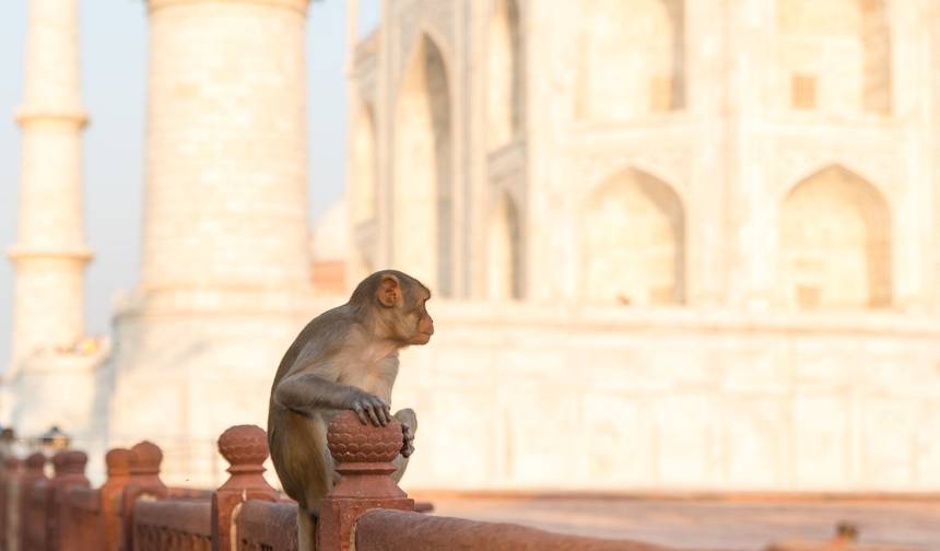 Historical North India Trip — 1