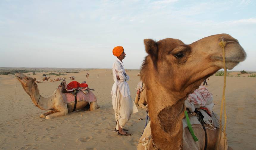 Real Rajasthan — 1