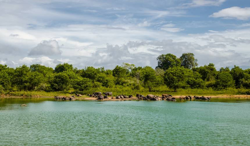 Circuito no Sri Lanka com Férias na Praia na Costa Sudoeste ou nas Maldivas (voo incluído) — 1