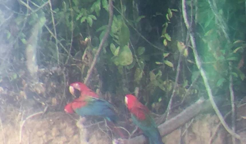 Crossing the Andes and the Amazon — 1