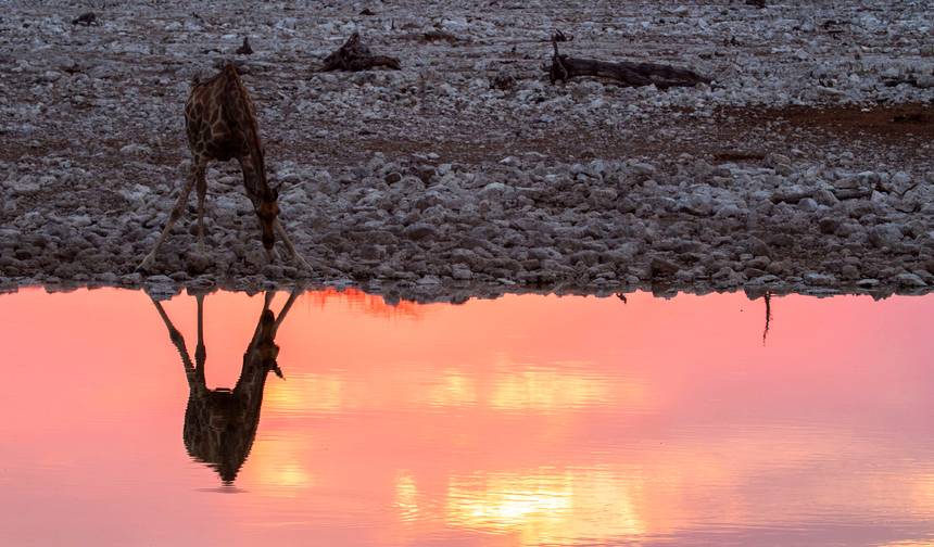 Kruger, Cataratas e Zimbábue: Piscinas Minerais e Parques Nacionais — 1