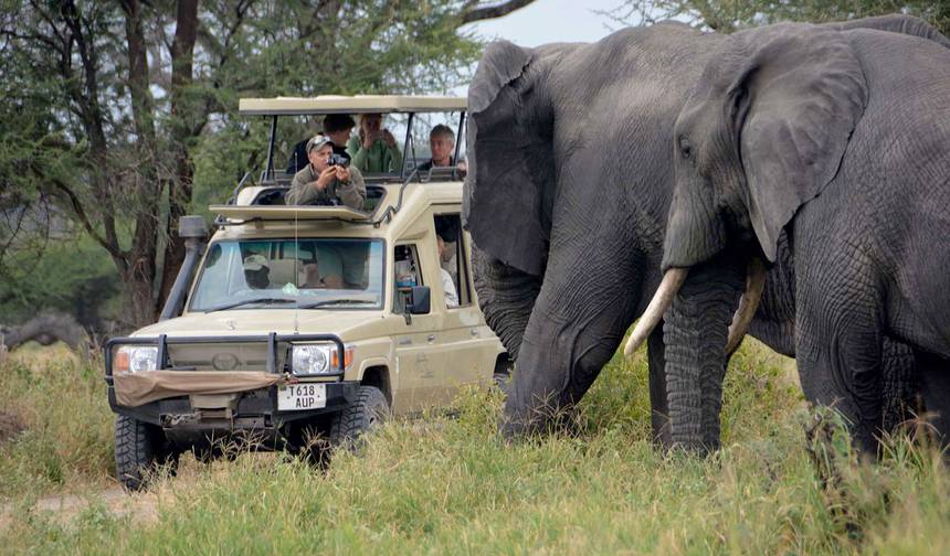 14 Dias de Safari Clássico para Descobrir a Vida Selvagem do Quênia — 1
