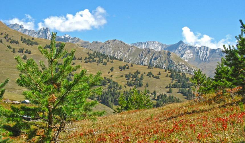 Jornada off-road em Tusheti — 1