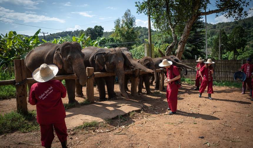 10日間で巡る特別なタイ – Phitsanuloke / Chiang Mai / Phuket — 1