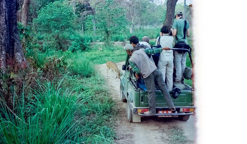 Safari w dżungli Chitwan — 3 noce / 4 dni — 1