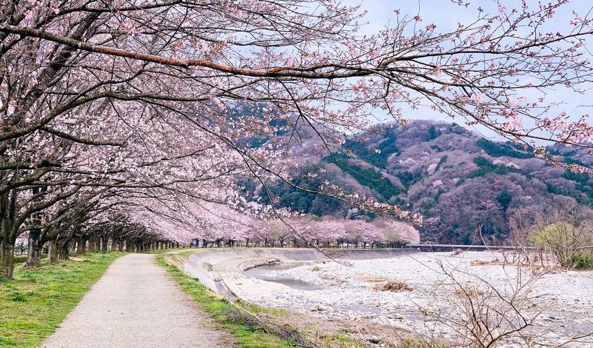 【日本】9日間 日本ゴールデンツアーパッケージ 大石公園付き — 1