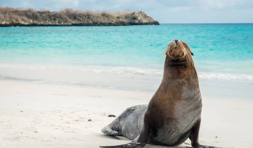 Ekwador i Wyspy Galapagos — 1