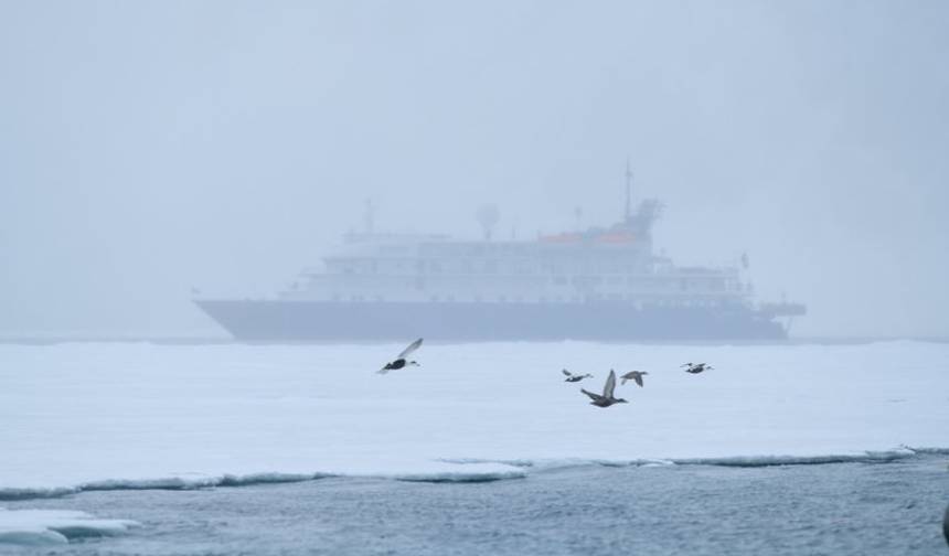 Dogłębna eksploracja w Krainie Niedźwiedzia Polarnego — 1