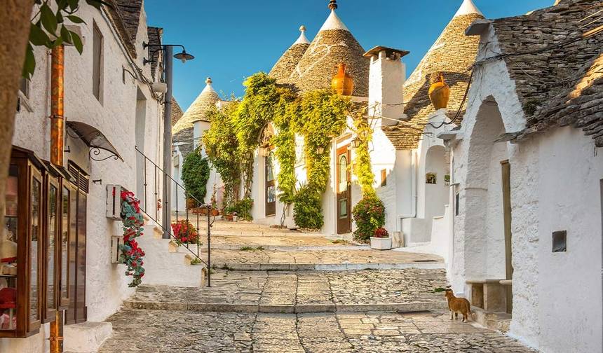 Premium Apulia (12 miejsc docelowych) — 1