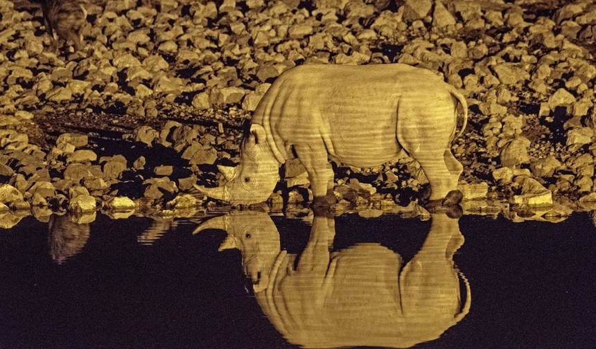 砂漠、岩絵、そしてヴィクトリアの滝（30の目的地） — 1