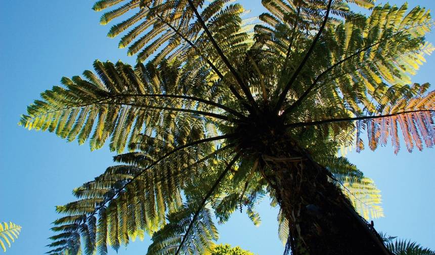 Maravilhas Naturais da Nova Zelândia — 1