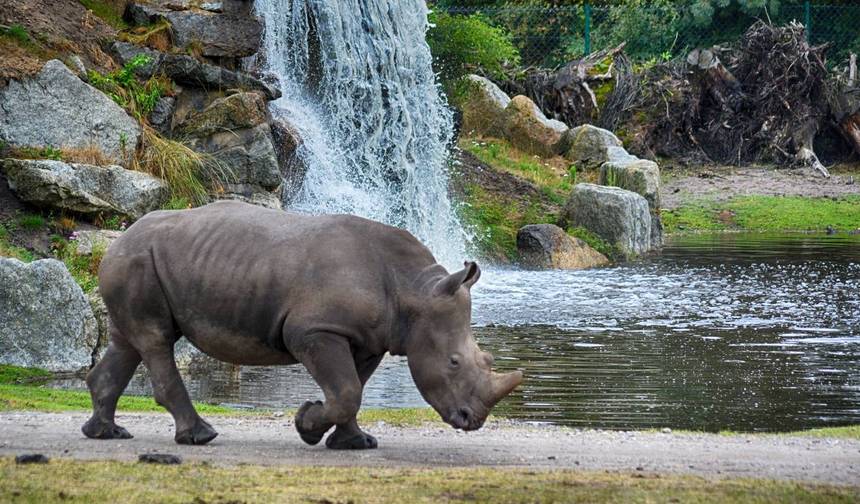 2 Day Northern Tanzania Safari Extension — 1